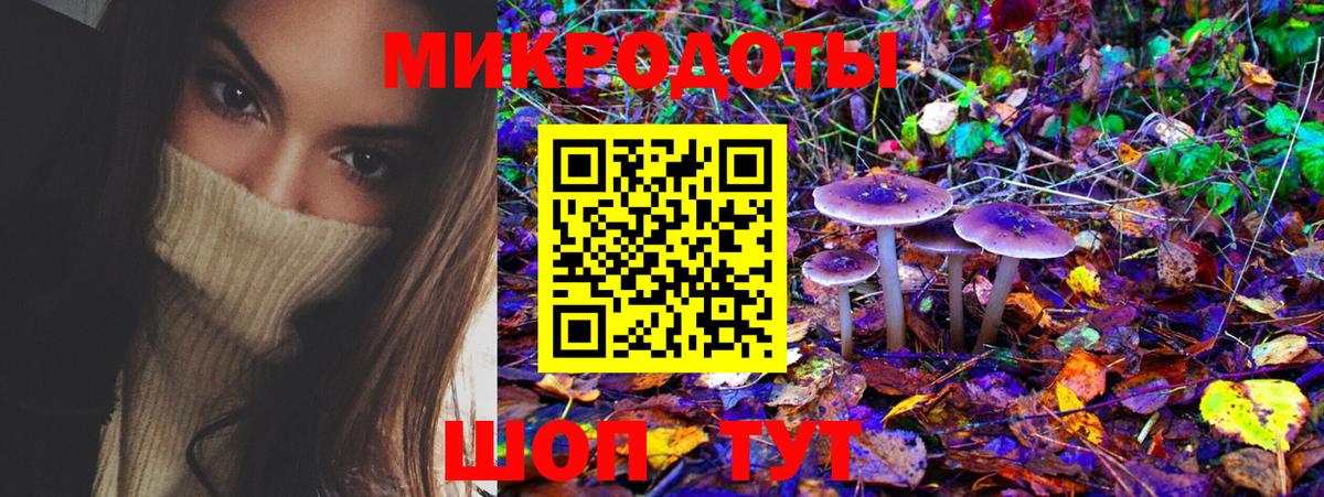 Сочи  Псилоцибиновые грибы Cubensis  Псилоцибиновые грибы Psilocybe  Вход с VPN 